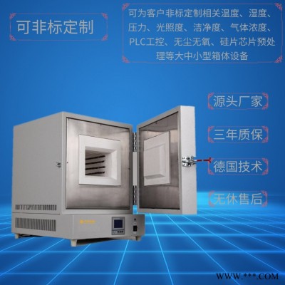陶瓷纖維馬弗爐DTM-6B-16 上海廠家 定做定制電阻爐 管式爐 氣氛爐 燒結(jié)爐 高溫爐 退火爐 臺車爐等
