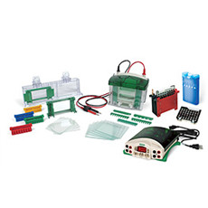 美國(guó)伯樂(lè)bio-rad1658033 垂直電泳套裝